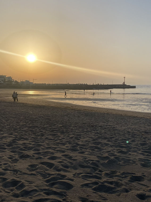 내멋대로 제주 3박4일