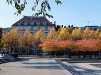 Kungsträdgården สวนสาธารณะใจกลางเมือง Stockholm
