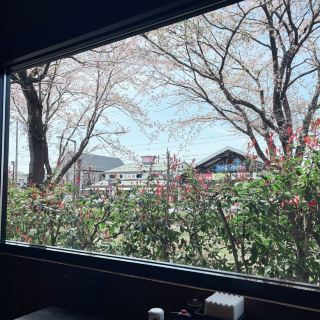 A Spring Stroll Through Ogata Maesawa