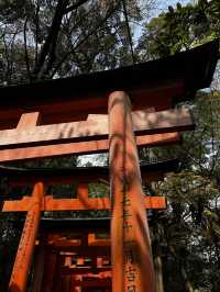 Fushimi Inari Taisha, Kyoto, Japan 🇯🇵 