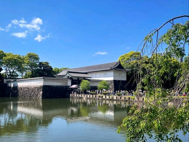 Royal Grounds, City Calm