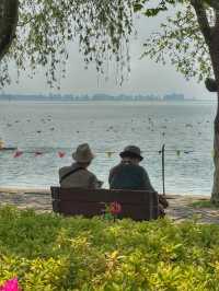 Wings Over Water: A Calm Spring Morning at Haigeng Park