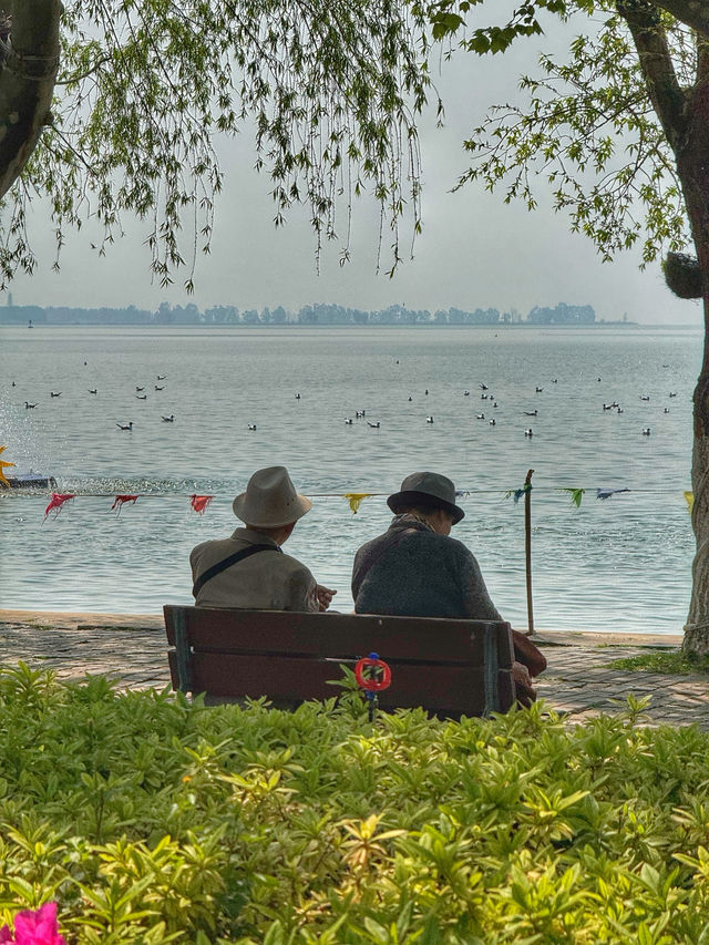 Wings Over Water: A Calm Spring Morning at Haigeng Park
