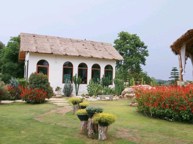 The peak flower land