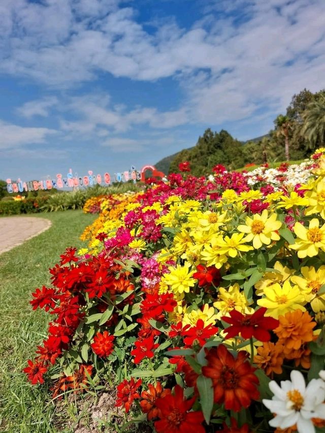 โครงการศึกษาวิธีการฟื้นฟูที่ดินเสื่อมโทรมเขาชะงุ้ม