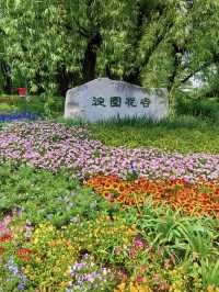 🌸 Haidian Spring Garden Walk Guide｜Photo Spots + Picnic Friendly 🌿