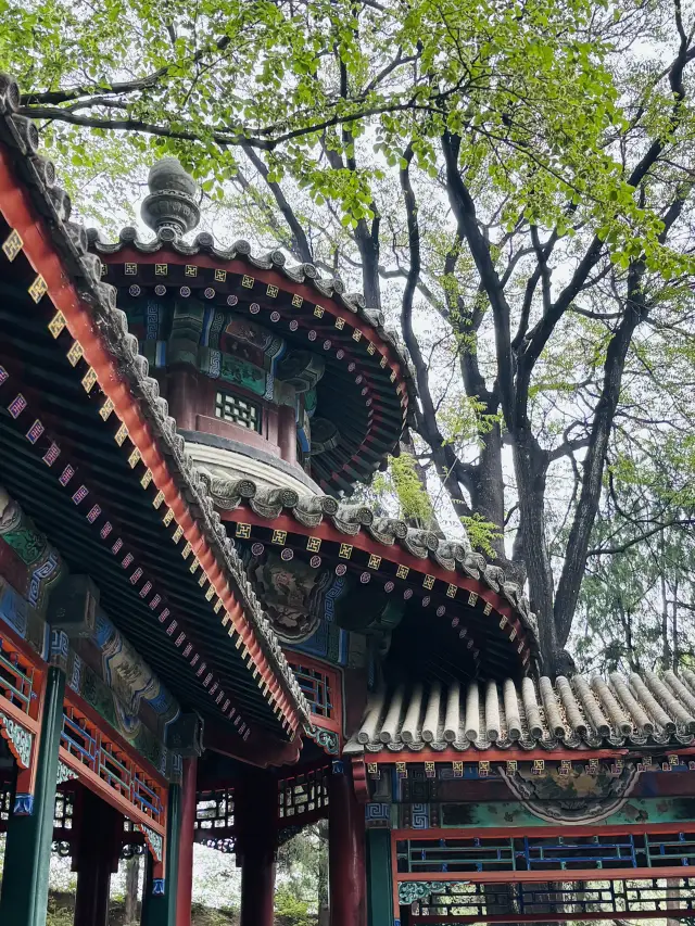 北京5日遊行程(包括你不可不知的中伏分享)