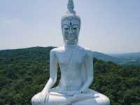ปู่ศรีมุกดา พญานาคองค์ใหญ่ งดงามมาก วัดภูมโนรมย์  