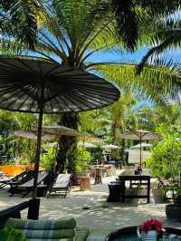 คาเฟ่ลับกลางสวนปาล์มที่จ. พังงา