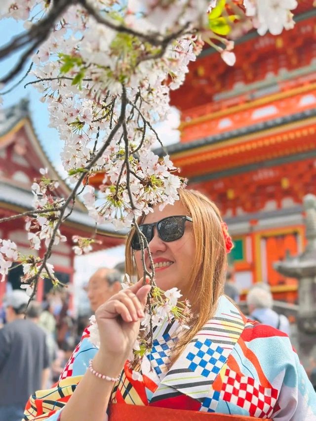 Serenity Above the City – A Journey to Kiyomizu-dera Temple