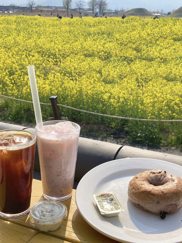 경주 카페는 여기로 가세요 🩷