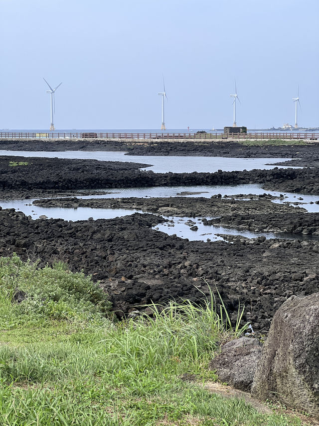 제주도 자연따라 여행하기 🌿