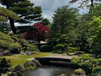 Spring Zen Mode