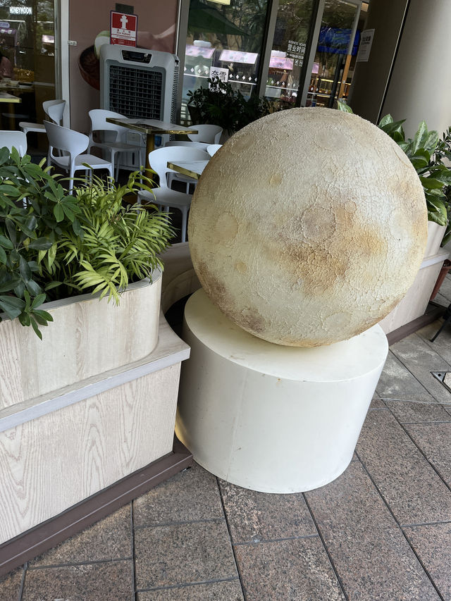 🌟【深圳海上世界】藝文、海景、打卡、美食一次收服！親測推薦一日遊攻略🌊🚶‍♀️