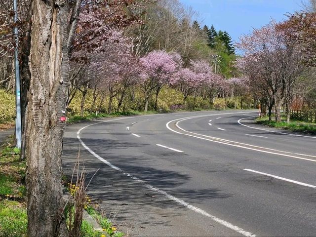 Into the Earth’s Breath – Exploring the Fiery Spirit of Noboribetsu