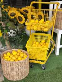 Time cafe & restaurant - ทุ่งสง นครศรีธรรมราช