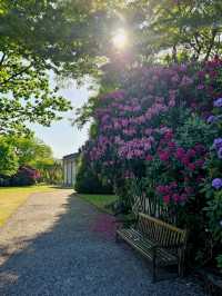 Tatton Park: A Grand Estate Full of Unexpected Magic