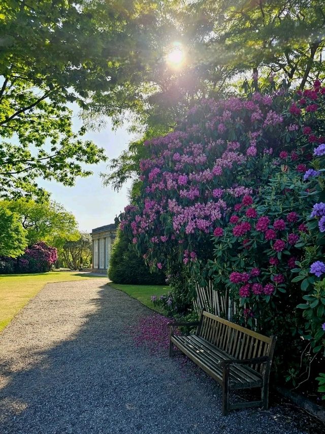 Tatton Park: A Grand Estate Full of Unexpected Magic