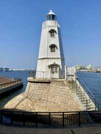 A Slow Stroll Through Sakai – Roses, Sea Breeze & Local Charm