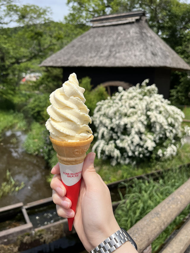 후지산이 보이는 전통마을🗻