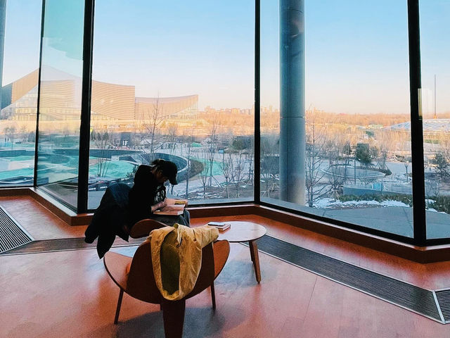 The Beijing City Library