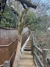 【熊本旅行】12個の温泉が楽しめる旅館♨️貸切風呂もあります♨️
