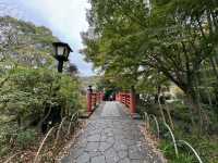 Kaede Bridge: A Tiny Slice of Izu's Timeless Charm