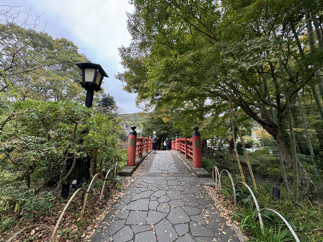 Kaede Bridge: A Tiny Slice of Izu's Timeless Charm