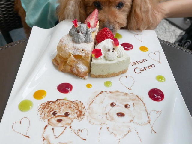 京都🇯🇵愛犬の似顔絵を描いてくれるカフェ🐶
