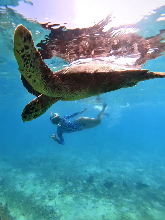 Snorkelling with my favourite one!🩵