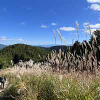 【岩湧山でススキ三昧】 🌾　大阪