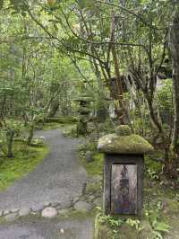 【大分県・日田】九州最高峰の口コミ評価の山荘天水