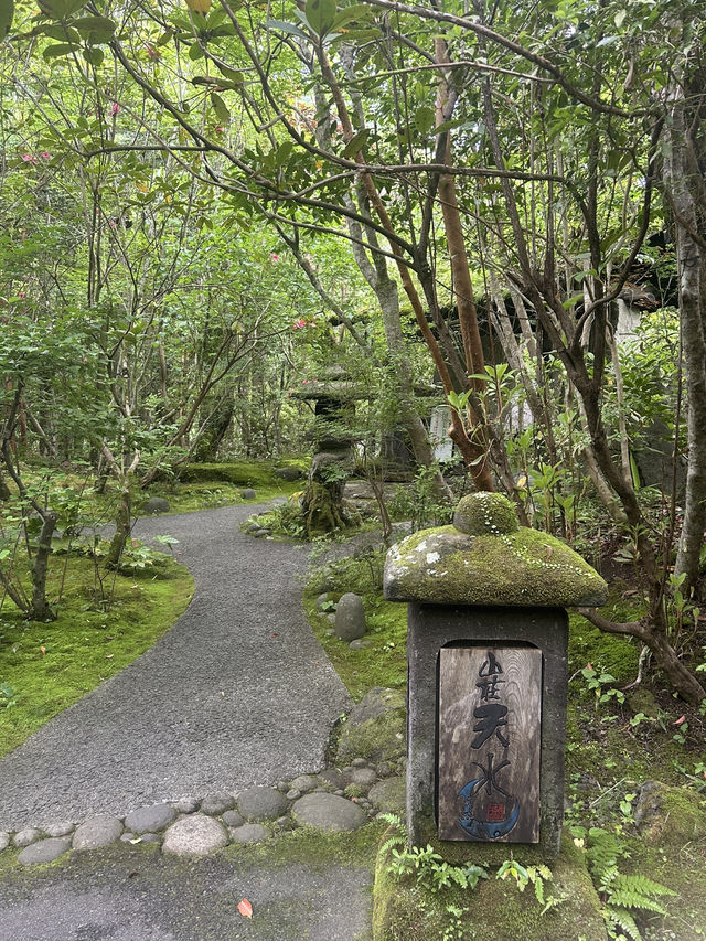 【大分県・日田】九州最高峰の口コミ評価の山荘天水