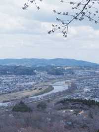 大阪飛去日本東北賞櫻: 一目千木櫻 