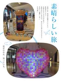 端午精彩藝術展📸