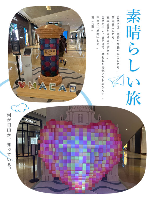 端午精彩藝術展📸