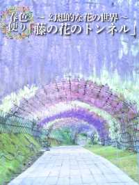 【行く前にこれ見て】息をのむほど美しい藤のトンネルに酔いしれる💜✨※観光攻略情報付き