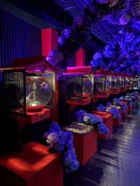 Art Aquarium Museum