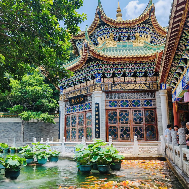 南粵苑尋韻：端午訪園，賞琉璃龍壁·品嶺南雅趣