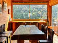 德島🇯🇵 鳥巢 Cafe」靜靜地chill一chill🕊️☕