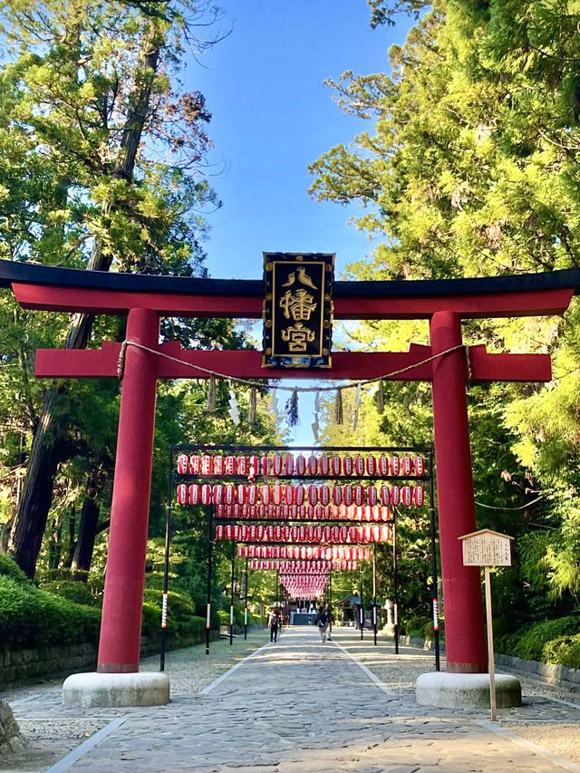 A Day of Serenity and Nature in Sendai ⛩️🌲