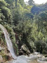 心癒される自然の中で、メーカンポンの魅力を発見しよう🌿✨