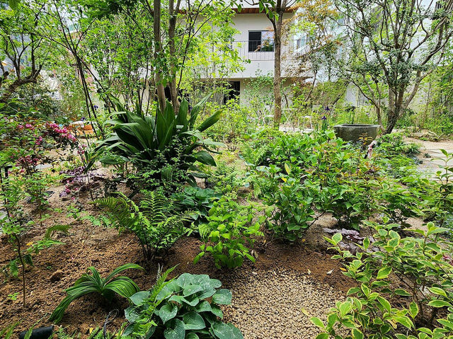🌳🌲[온천장] 모모스커피 온천장 본점