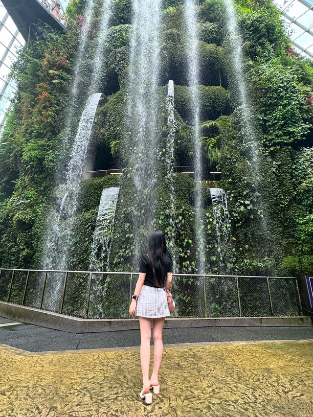 新加坡-濱海灣花園彷彿進了森林🌳