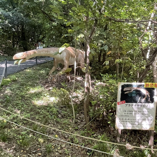 迫力満点‼️恐竜の世界