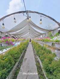 ส้มตำหลังสวน บางปู ร้านสำหรับครอบครัว อร่อยเลย🌱