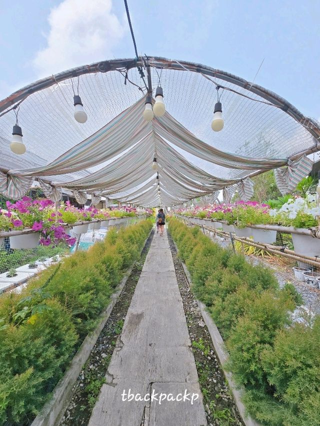 ส้มตำหลังสวน บางปู ร้านสำหรับครอบครัว อร่อยเลย🌱