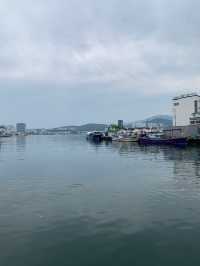 🚤 속초 바다를 품은 감성 카페