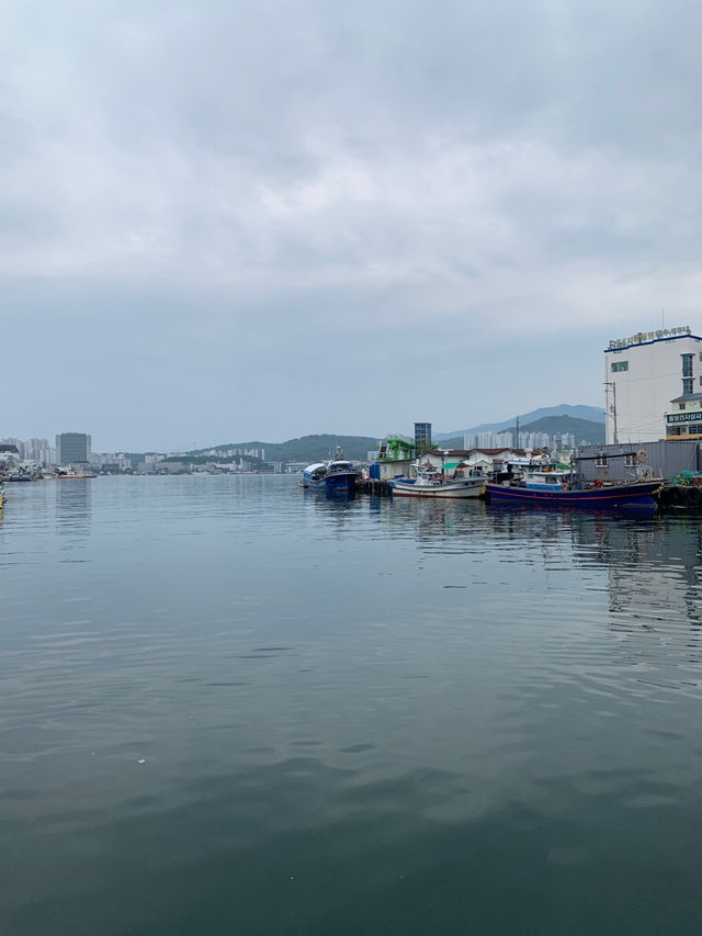 🚤 속초 바다를 품은 감성 카페