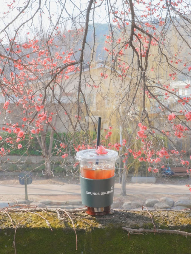 봄이 오는 소리가 들리는 순천 사운즈 옥천🌸❤️